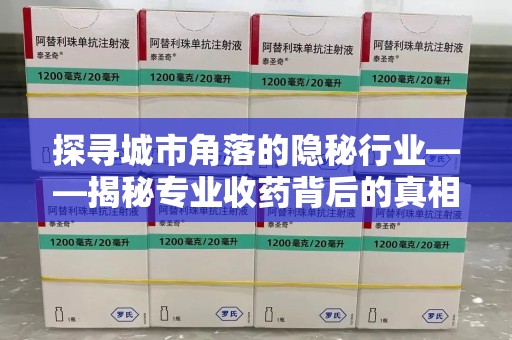九江探寻城市角落的隐秘行业——揭秘专业收药背后的真相