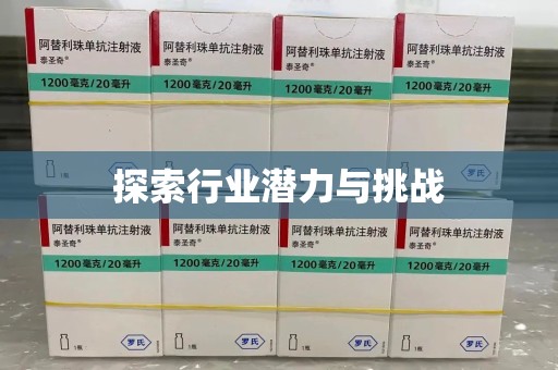 九江探索行业潜力与挑战