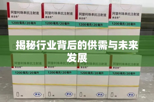九江揭秘行业背后的供需与未来发展