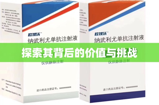 九江探索其背后的价值与挑战
