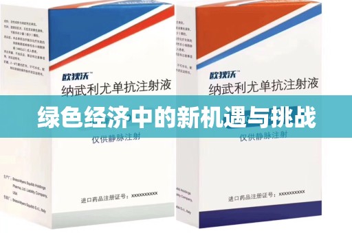 九江绿色经济中的新机遇与挑战