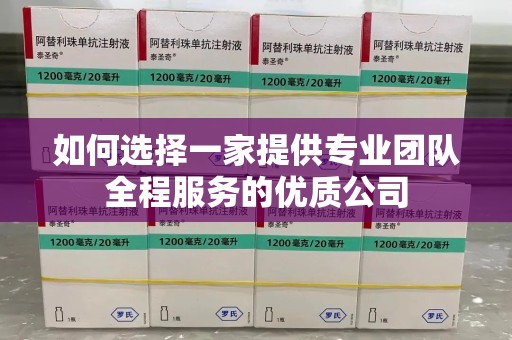 九江如何选择一家提供专业团队全程服务的优质公司